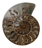 Jaipur gemstones exporters, gemstones studded jewelry jaipur